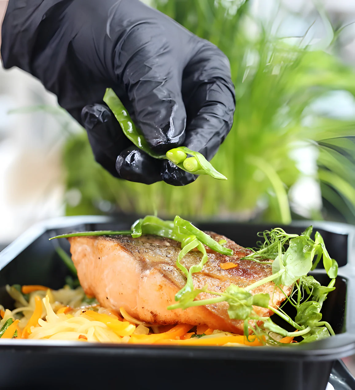 Préparation d’un plateau repas au saumon